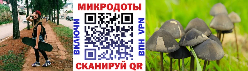 Галлюциногенные грибы ЛСД  купить наркоту  mega зеркало  Братск 